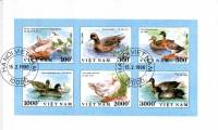 (1990-009) Сцепка (6 м) Вьетнам "Утки"    Утки III O