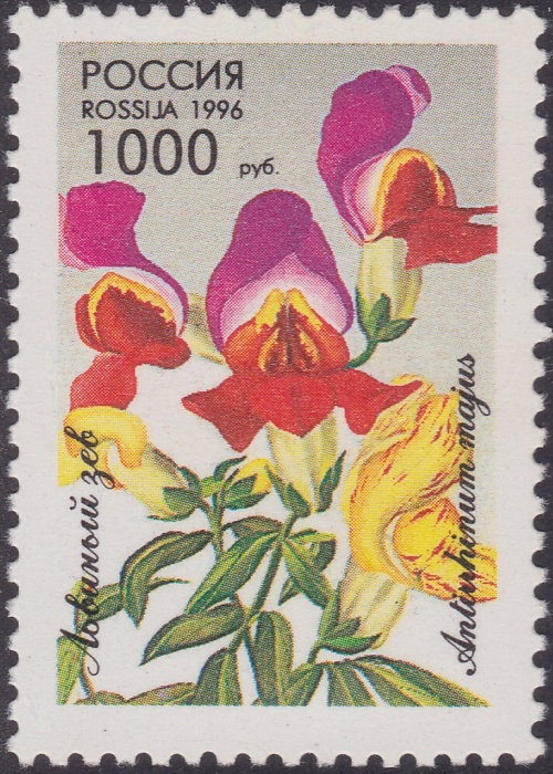 1996-006 Марка Россия Львиный зев  Флора. Декоративные растения III O