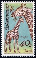 1976-051 Марка Чехословакия Жираф   Чехословацкое сафари III O