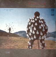 Набор виниловых пластинок (2 шт) Пинк Флойд Delicate Sound of Thunder  Мелодия 300 мм. Excellent