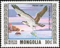 (1976-024) Марка Монголия "Скопа"    Охраняемые виды хищных птиц III O