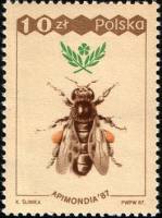 (1987-033) Марка Польша "Медоносная пчела, Рабочая "    31-й Всемирный конгресс пчеловодства, Варшав