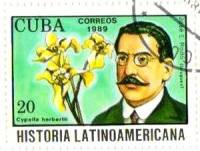 (1989-080) Марка Куба "Хосе Э. Рочо"    История Латинской Америки III Θ