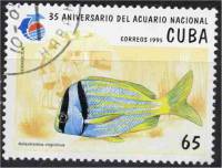 (№3813) Марка Куба 1995 год "Porkfish Anisotremus virginicus", Гашеная