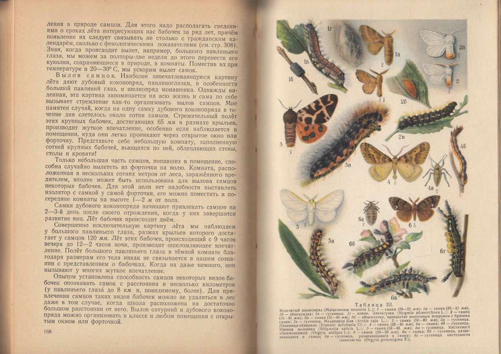 Книга &quot;Насекомые как объект школьной работы&quot; Б. Щербаков Москва 1953 Твёрдая обл. 318 с. С цветными 
