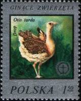 (1977-023) Марка Польша "Дрофа"    Редкие животные III Θ