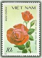 (1988-004) Марка Вьетнам "Бордовая роза"    Розы III Θ