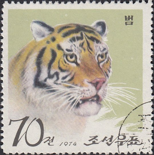 (1974-042) Марка Северная Корея &quot;Тигр&quot;   Зоопарк Пхеньяна III Θ