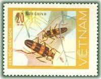 (1977-020) Марка Вьетнам "Черепицевидный усач"   Жуки III Θ