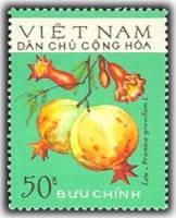 (1975-021) Марка Вьетнам "Гранат обыкновенный"   Фрукты III Θ