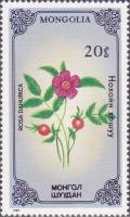 (1985-031) Марка Монголия "Даурская роза"    Растения III Θ