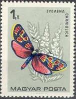 (1966-005) Марка Венгрия "Пестрянка глазчатая"    Бабочки III Θ