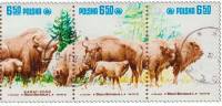 (1981-044) Сцепка марок (3 м) Польша "Зубры"    Охрана природы. Зубры II Θ