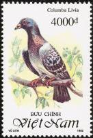 (1992-083) Марка Вьетнам "Сизый голубь "    Голуби III O