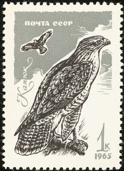 1965-133 Марка СССР Канюк   Хищные птицы II O