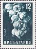(1958-032) Марка Болгария "Чеснок" Перф греб 13   Стандартный выпуск. Овощи II Θ