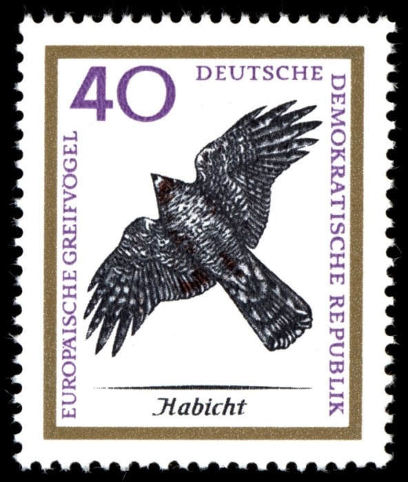 (1965-071) Марка Германия (ГДР) "Ястреб-Тетеревятник "    Хищные птицы III &Theta;