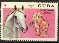 (1972-044) Марка Куба "Арабская лошадь"    Лошади III Θ