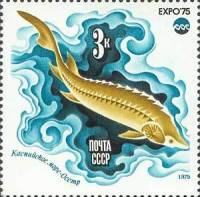 1975-053 Марка СССР Осетр  Всемирная выставка ЭКСПО-75. Море и его будущее III O