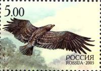 2005-032  Марка из блока Россия Большой подорлик  Природа III O