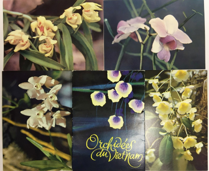 Набор открыток &quot;Орхидеи&quot;, 12 шт. 