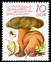 (1980-083) Марка Германия (ГДР) "Дубовик крапчатый"    Грибы III Θ
