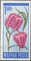 (1966-016) Марка Венгрия "Рябчик шахматный"    Цветы под защитой II Θ