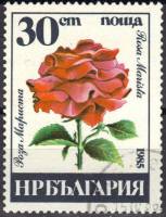 (1985-057) Марка Болгария "Роза Мариста"   Розы III O
