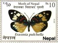 (№2014-1158) Марка Непал 2014 год "Ерасмия pulchella", Гашеная