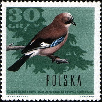 (1966-069) Марка Польша &quot;Сойка&quot; , III O