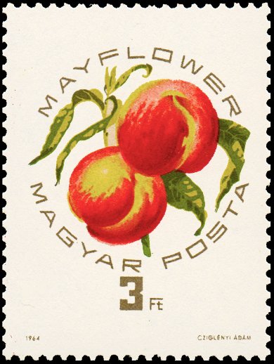 (1964-065) Марка Венгрия &quot;Мейфлауэр&quot; ,  III O