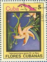 (1983-077) Марка Куба "Табернемонтана"    Цветы III Θ