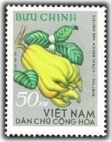 (1964-043) Марка Вьетнам "Цитрон пальчатый"   Тропические фрукты III O