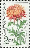 1973-035 Марка Чехословакия Хризантема   Выставка цветов III Θ