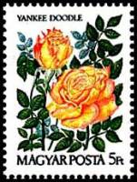 (1986-019) Марка Венгрия "Желтые розы"    Международная выставка марок AMERIPEX 86, Чикаго III Θ