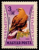 (1962-076) Марка Венгрия "Беркут"    Хищные птицы III Θ