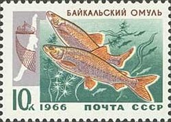 1966-095 Марка СССР Омуль   Промысловые рыбы Байкала II Θ