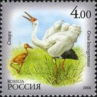 2006-076 Марка Россия Стерх  Фауна Республики Саха (Якутия) III O