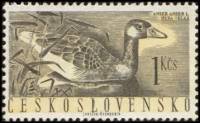(1960-057) Марка Чехословакия "Серый гусь"   Водоплавающие птицы III Θ