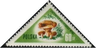 (1959-011) Марка Польша &quot;Рыжики&quot; , III Θ