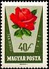 (1962-043) Марка Венгрия "Красная роза"    Розы II Θ