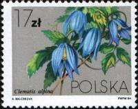 (1984-011) Марка Польша "Ломонос альпийский"    Вьющееся растение III Θ