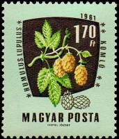 (1961-090) Марка Венгрия "Хмель обыкновенный"    Лекарственные растения III Θ