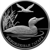 (114ммд) Монета Россия 2012 год 2 рубля "Белоклювая гагара"  Серебро Ag 925  PROOF