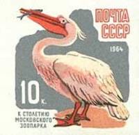 1964-070 Марка СССР Пеликан Без перф   100 лет Московскому зоопарку III O