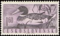 (1960-058) Марка Чехословакия "Дикая утка"   Водоплавающие птицы II Θ