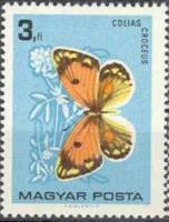 (1966-009) Марка Венгрия "Желтушка шафрановая"    Бабочки III Θ