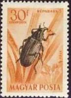 (1954-004) Марка Венгрия "Свекловичный долгоносик"    Насекомые III Θ