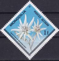 (1979-023) Марка Монголия "Эдельвейс бледно-желтый"    Цветы III Θ