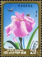 (1986-041) Марка Северная Корея "Ирис"  сиреневый  Цветы III Θ